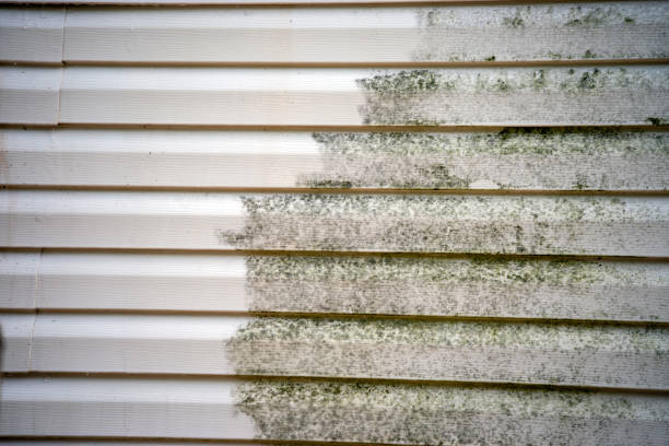 Best Property Management Cleanouts  in River Ridge, FL